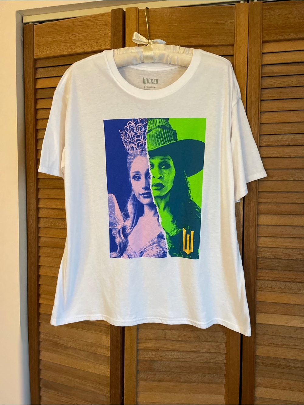 NWOT Wicked T-Shirt.